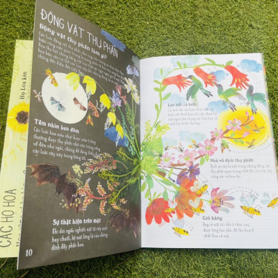 A LÊ HẤP! - THẾ GIỚI HOA - ĐÔNG A - BẢN CỨNG IN MÀU TOÀN BỘ -