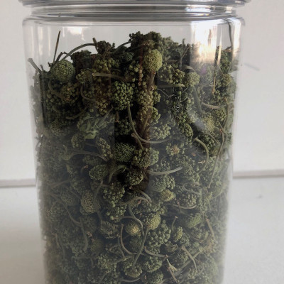 1kg Trà nụ hoa tam thất - Cao Cấp