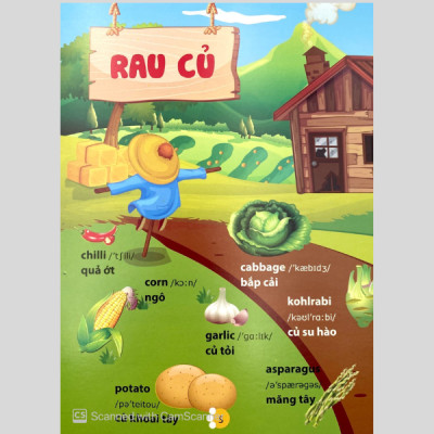 Từ Điển Phát Triển Ngôn Ngữ Bằng Hình Dành Cho Trẻ Mầm Non - Chủ Đề: Phương Tiện Giao Thông + Thành Viên Trong Gia Đình + Trái Cây + Rau Củ