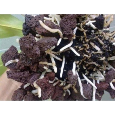 Đá Nham Thạch (4kg) vật liệu lọc, trang trí bể cá