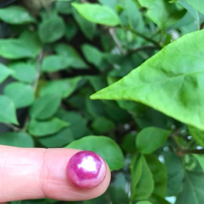   VIÊN ĐÁ RUBBY HỒNG TRÒN ĐẸP NHƯ BÔNG HOA PHÍA TRÊN VIÊN ĐÁ TRÒN DẦY ĐẸP LẮM LUÔN LÀM MẶT NHẪN DÂY CHUYỀN Size DÀI 12mm X NGANG 11mm x DẦY 7mm