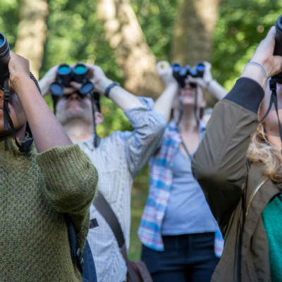 Ống Nhòm Barska Porro 12x50 - Hàng chính hãng