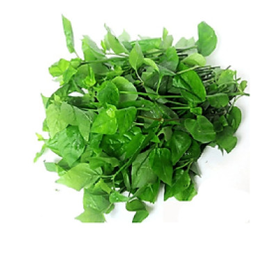 Rau ngót nhật hữu cơ 250g