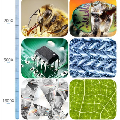 Kính hiển vi kỹ thuật số tích hợp camera Terino HD101-1600X (Phóng đại 1600X, 10.1 Inch IPS HD) - Hàng chính hãng