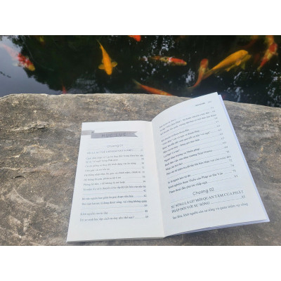 Sách Thuyết Tương Đối Giữa Tâm Và Não - Vĩnh Nghiêm Books