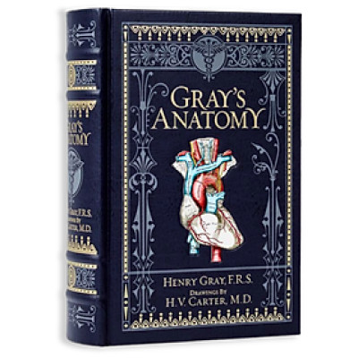 Artbook - Sách Tiếng Anh - Gray