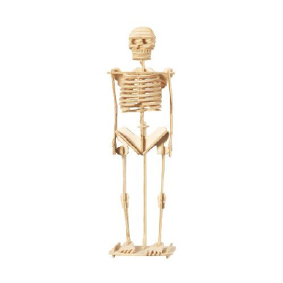 Wol Model Set - Human Body