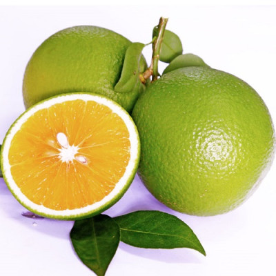 [Chỉ Giao HCM] - Cam xoàn hữu cơ - 1kg