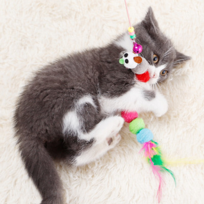 Đồ Chơi Cần Câu Thép Dẻo cho mèo nhiều mẫu