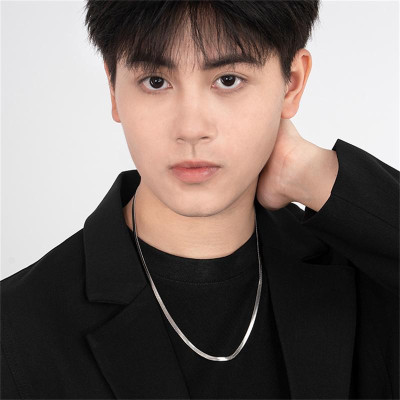 Dây Chuyền Xương Rắn Thép Titan, Thời Trang Và Tối Giản, Dành Cho Nam, Phụ Kiện Hip-Hop, Dây Chuyền