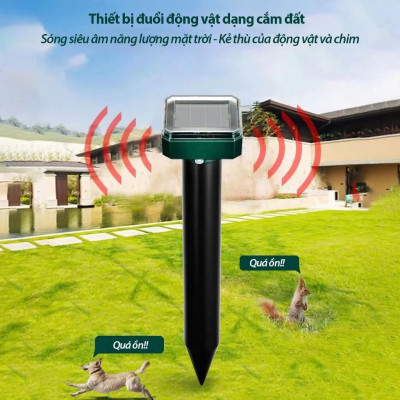 Máy Đuổi Chuột , Rắn, Chim Ngoài Trời – Sóng Siêu Âm An Toàn, Năng Lượng Mặt Trời