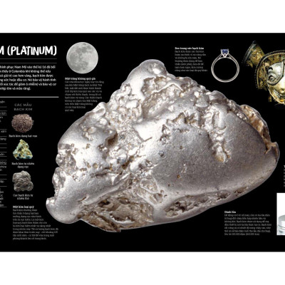 Đá Quý Và Khoáng Sản - Bìa Cứng (Tái Bản)