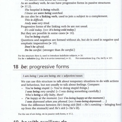Practical English Usage (Fully revised and updated, 4th Edition) Book with Online Access (Internet Access Code) (Paperback)