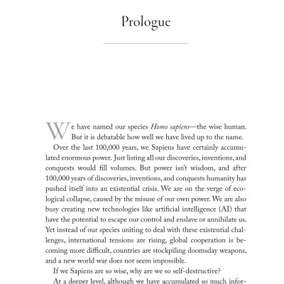 Nexus - A Brief History Of Information Networks From The Stone Age To AI