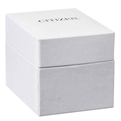 Đồng Hồ Nam Citizen Dây Da BF2009-29X - Mặt Vàng 