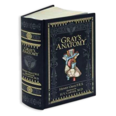 Artbook - Sách Tiếng Anh - Gray