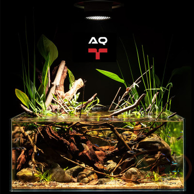 Đèn rọi LedStar AQ Tyndall WRGB chỉnh tiêu cự rọi màu bể cá tép thủy sinh biotop