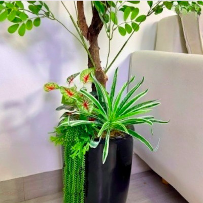 Cây thần diệu giả 170cm không chậu trang trí, decor nhà cửa, quán cafe