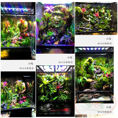 Bình xịt foam Mius xốp nở tạo bố cục layout background bể bán cạn thủy sinh cá tép cảnh