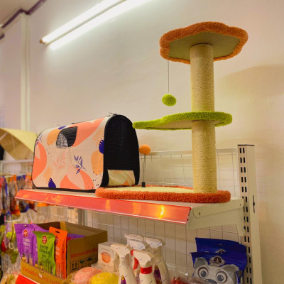 TÚI VẬN CHUYỂN CHÓ MÈO HỌA TIẾT ĐÁNG YÊU ĐỦ SIZE