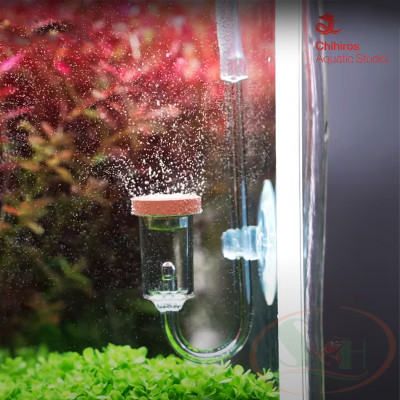 Đầu sủi co2 Chihiros Nano Diffuser khuếch tán trộn bọt co2 mịn bể thủy sinh