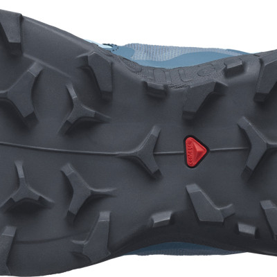 Giày địa hình WILDCROSS 2 W Delphinium - L41454400