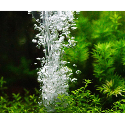 8M Dây Sủi Oxy | Dây Dẫn Khí CO2 Trong Suốt, Cho Hồ Cá Cảnh, Hồ Thủy Sinh Cao Cấp