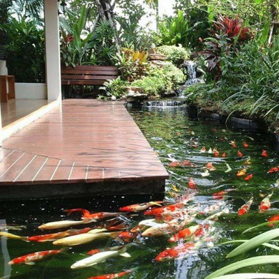 Đèn UV 9W Bóng Kép cao cấp, diệt tảo, diệt  khuẩn cho bể cá, hồ cá, hồ thủy sinh siêu sạch UV FORT DI (  Trắng)