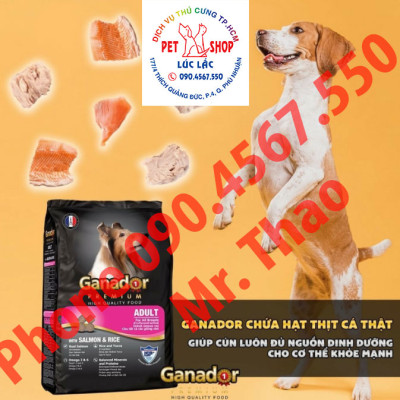 20KG Thức Ăn Hạt Chó Lớn Ganador Roasted Beef Flavor - Vị Bò Nướng - Thức ăn hạt cho Chó