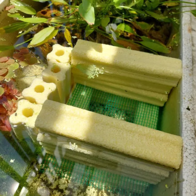 Thanh Sứ Lọc Hoa Mai TO (16x4cm) | Vật Liệu Lọc Nước Bể Cá Cao Cấp, Siêu Sạch