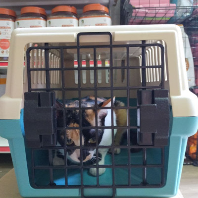 LỒNG VẬN CHUYỂN CHÓ MÈO - PURMI FC3000/32x47x29 - (HÀNG NỘI ĐỊA HÀNG QUỐC)