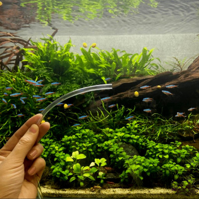 1 Mét dây sủi và 1 đá sủi oxy, quả sủi oxy dùng cho Máy sủi oxy, Máy sục khí - Tăng lượng khí oxy bể cá - Giúp cá lớn nhanh, phát triển mạnh ( Trắng - Đen)