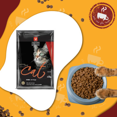 Hạt Cat