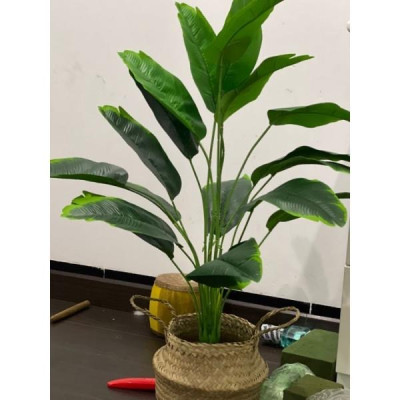 Cây chuối giả cảnh - cao 90cm - Cây giả, hoa lụa Decor trang trí nhà cửa