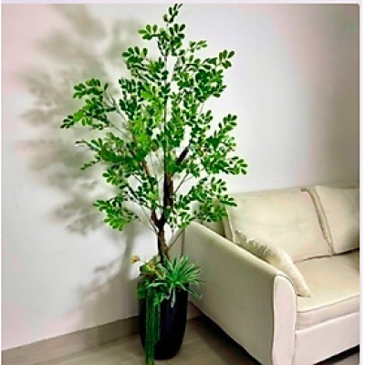 Cây thần diệu giả 170cm không chậu trang trí, decor nhà cửa, quán cafe