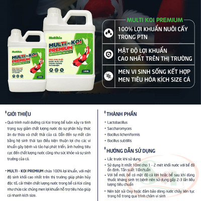 Vi sinh nước MultiBio Multi Koi Premium men tiêu hóa đậm đặc xử lý bể cá lớn ao hồ ngoài trời
