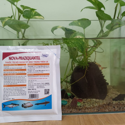Thuốc Ngăn Ngừa Nội Ngoại Ký Sinh Trùng Trên Cá Nova – Praziquantel (Gói 100g)