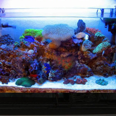 5KG Cát thủy sinh thạch anh lọc nước, trải nền, làm thác cát, trang trí bể cá, khử asen, tạp chất có trong nước ăn hàng ngày ... 