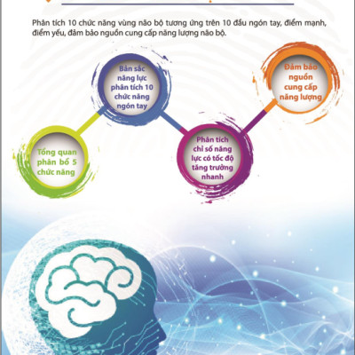 Sinh Trắc Vân Tay Gen Talents - Module Xu Hướng Năng Lực Bẩm Sinh 