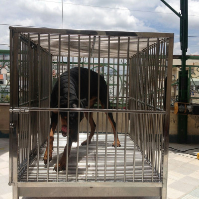 Chuồng chó Inox Juno Sofa KT(60 x 1m x 70cm) có mái che 