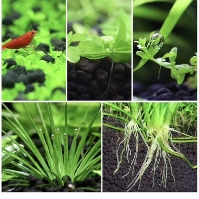 Đất Nền Trồng Cây Thủy Sinh, Phân nền DIA MAX AQUA 2KG giàu dinh dưỡng