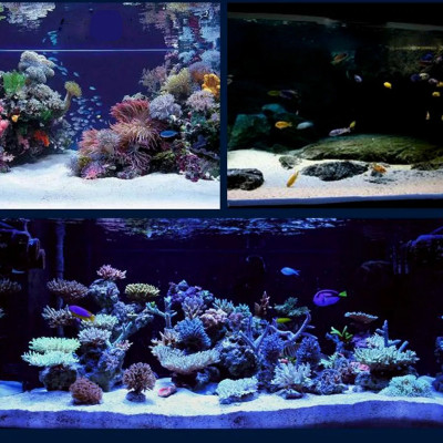 5KG Cát thủy sinh thạch anh lọc nước, trải nền, làm thác cát, trang trí bể cá, khử asen, tạp chất có trong nước ăn hàng ngày ... 