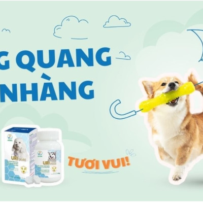 BOSSEN - URI Shield (dogs) Hỗ Trợ Bảo Vệ Bàng Quang cho Chó, giúp Tiết Niệu khỏe - Hộp 30 viên