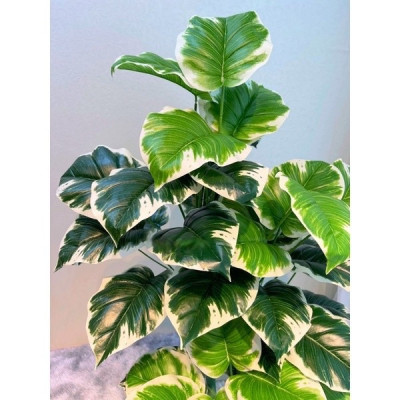 Cây trầu bà giả - Size từ 90cm đến 150cm - Cây lá viền trắng - Cây giả, hoa lụa trang trí nhà cửa