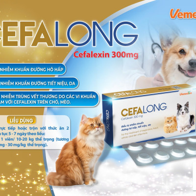 Vemedim Cefalong Viên Uống về Da, Hô Hấp, Tiết Niệu cho Chó Mèo - Hộp 10 viên