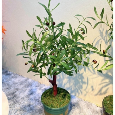 Cây oliu giả - thân gỗ - Size từ 80cm đến 130cm - Cây giả, hoa lụa Decor trang trí nhà cửa