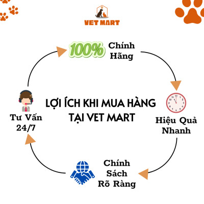 Dung Dịch Five Funazole For Pet 10ml Cao Cấp, Hỗ Trợ Trị Nấm Toàn Thân Cho Thú Cưng - Fivevet