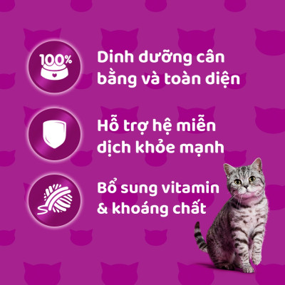 Hộp 12 Gói Pate Cho Mèo Lớn Vị Cá Thu Whiskas Adult 80g