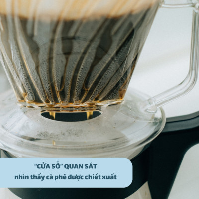 Phễu pha cà phê Hario PED-02-T (Phễu Pegasus)