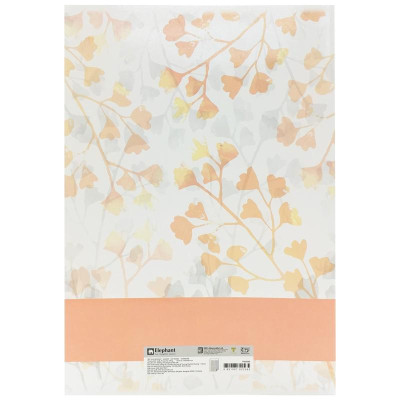 Combo 5 Tập Sinh Viên 4 Ly Ngang - 120 Trang 80gsm - Elephant FI622565 (Mẫu Màu Giao Ngẫu Nhiên)